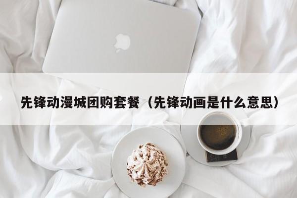 先锋动漫城团购套餐（先锋动画是什么意思）