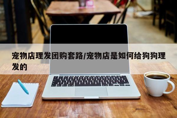 宠物店理发团购套路/宠物店是如何给狗狗理发的