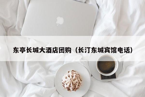 东亭长城大酒店团购（长汀东城宾馆电话）