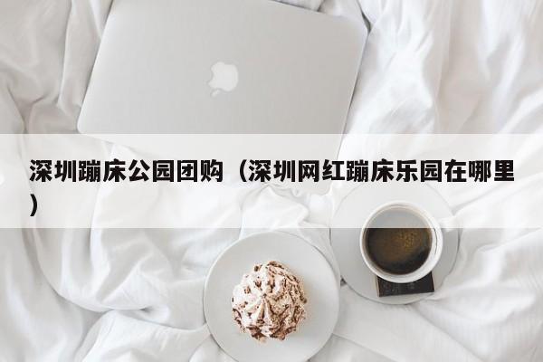 深圳蹦床公园团购（深圳网红蹦床乐园在哪里）