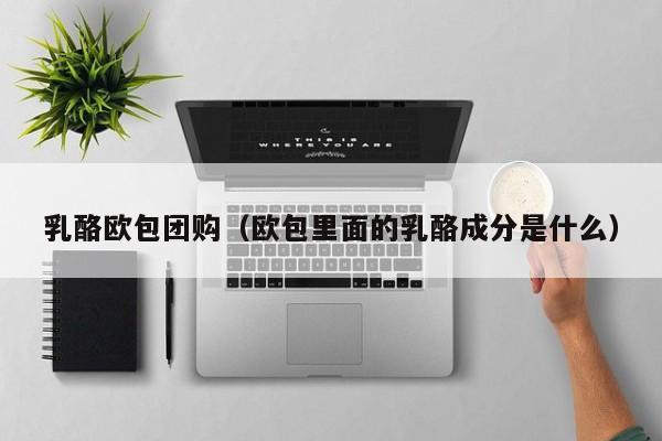 乳酪欧包团购（欧包里面的乳酪成分是什么）