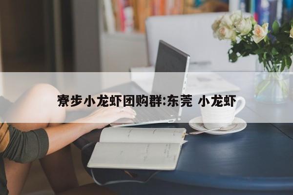 寮步小龙虾团购群:东莞 小龙虾